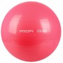 Фітбол Profi Ball 65 см. Фіолетовий (MS 0382F)