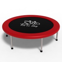 Батут комнатный FitToSky 102 см, Красный